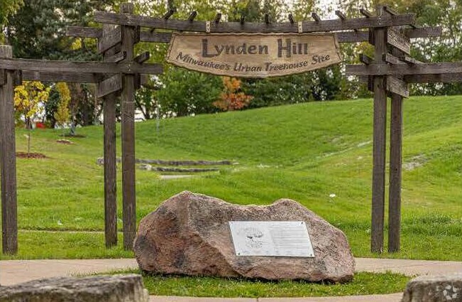 Lynden Hill Urban Treehouse